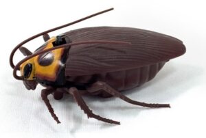 3045-1 – Remote Control Cockroach